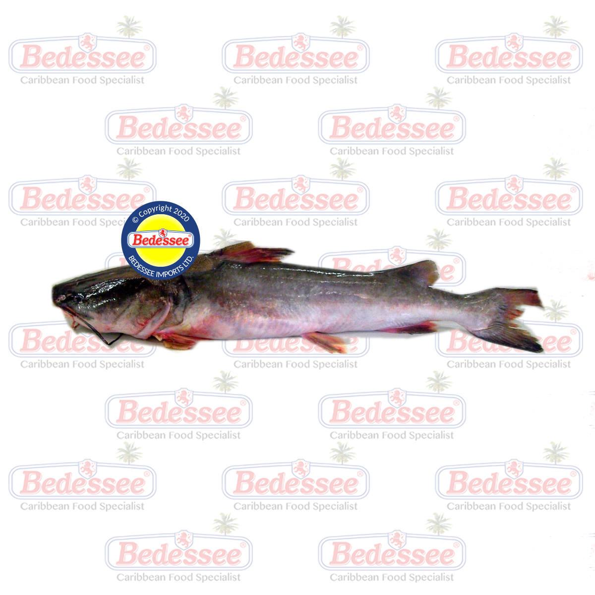 GILLBACKER 2KG UP WHOLE